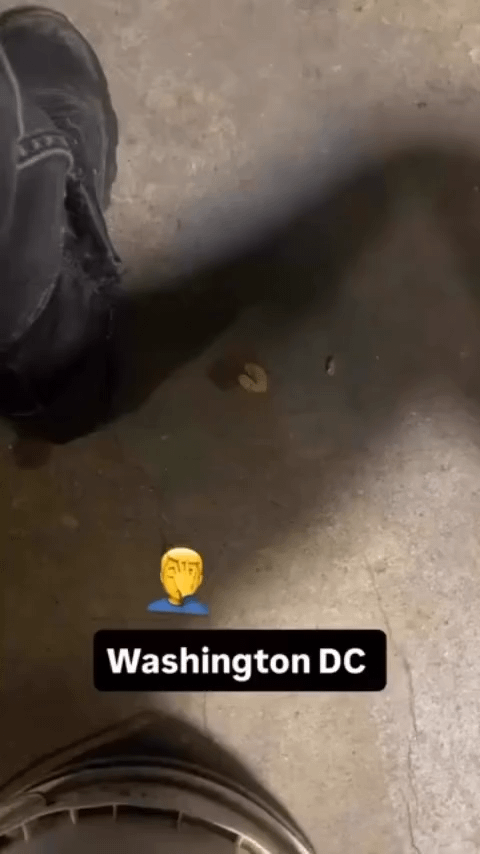 Trump's fascist scum Nazi federal "cops" roaming the streets of D.C. like brownshirts to create a climate of fear and intimidation in minority neighborhoods. They're now harassing people for smoking on their own porches - this is the "crime" the Nazi Trump regime sees as an "emergency."