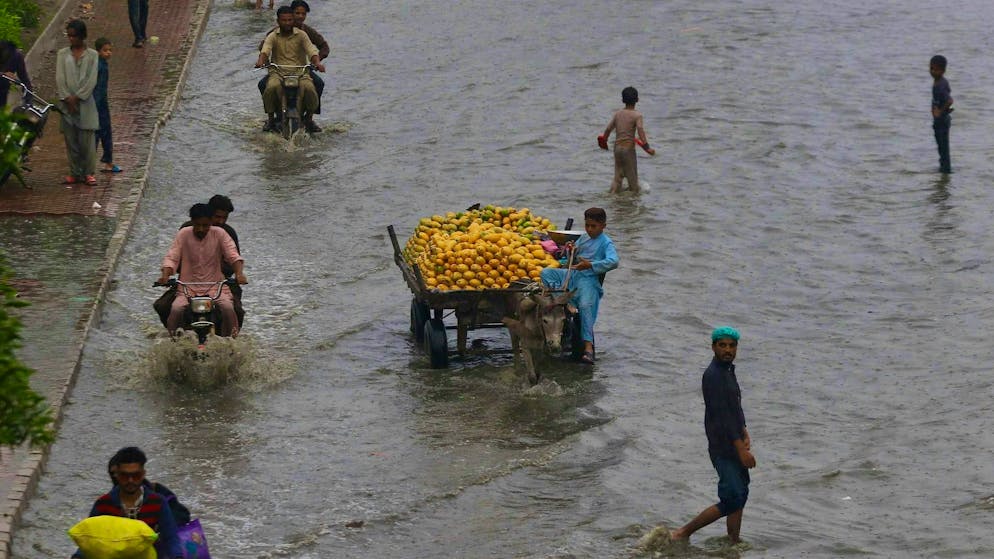 India and Pakistan have been hit by particularly heavy monsoon rains this year.