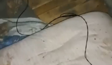 A russian soldier was subjected to electroshock torture as punishment for stealing from his comrades