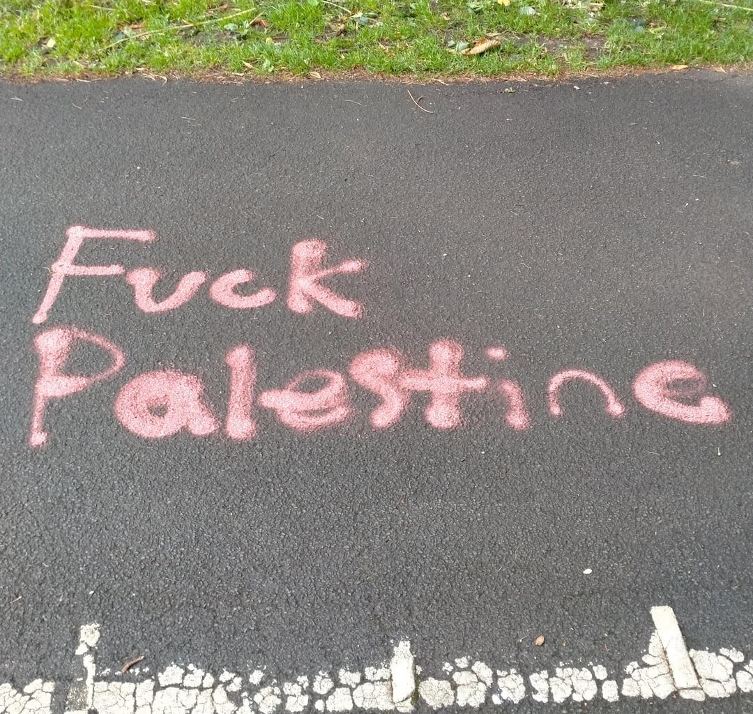Lagan towpath this morning