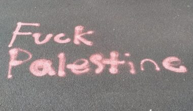 Lagan towpath this morning