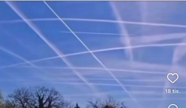 Vysoká škola života