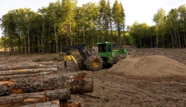 The U.S. Department of Agriculture is giving the public just three weeks to weigh in on a key step of its attempt to scrap the Roadless Rule, which protects almost 59 million acres of forest land from road construction and timber harvesting.