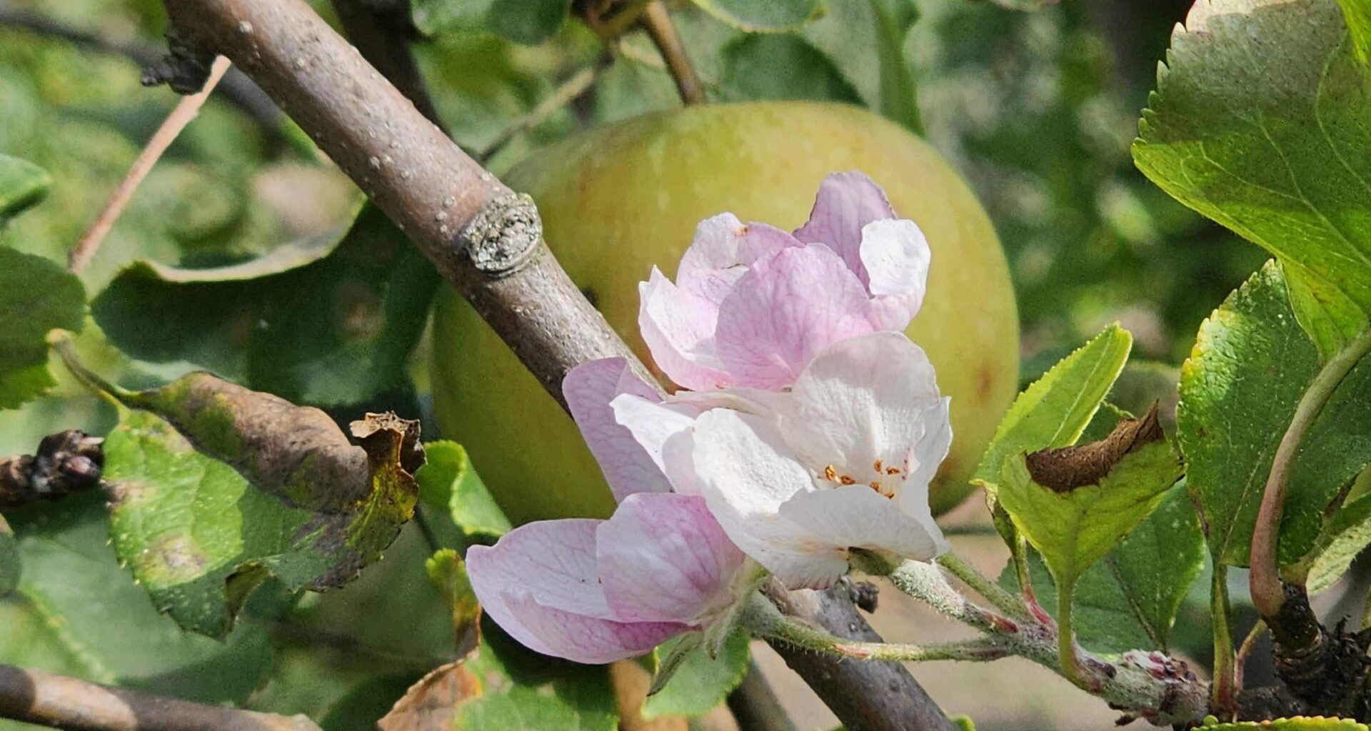 Den Frühling verschlafen....