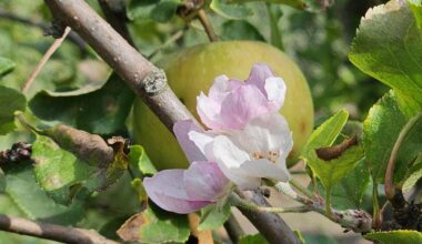 Den Frühling verschlafen....