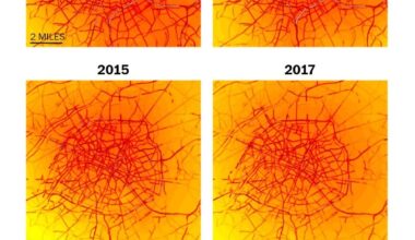 Washington Post: Air pollution fell substantially in Paris as the city restricted car traffic and made way for parks and bike lanes.