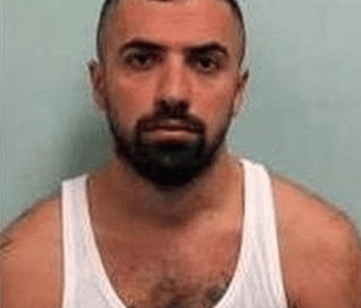 Ex-solicitor should face trial in Moldova over Tottenham gang boss murder, rules judge