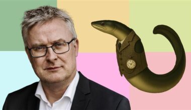 Røget, stegt eller i gelé: Ministerie deler opskrifter på kritisk truet ål