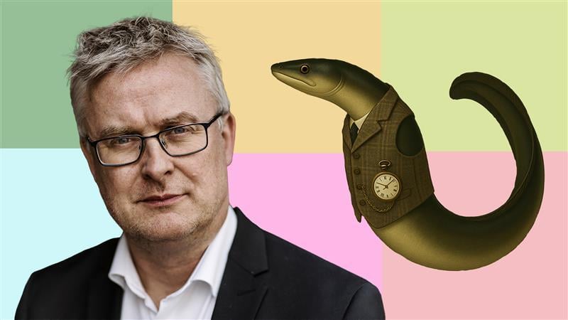 Røget, stegt eller i gelé: Ministerie deler opskrifter på kritisk truet ål