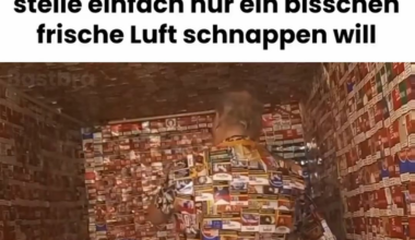 ich💀iel