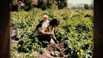 Alanis Obomsawin - Farming