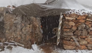 What 1000€ rent gets you in Northern Europe