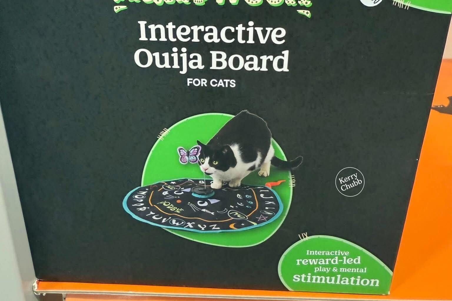 As if things are not bad enough already, we’re now allowing cats to summon demons.