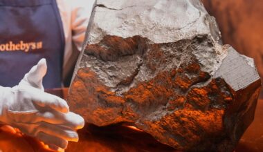 Niger wants answers after largest piece of Mars sold at auction for more than $5 million