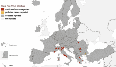 Mappa dei casi di Virus West Nile in Europa