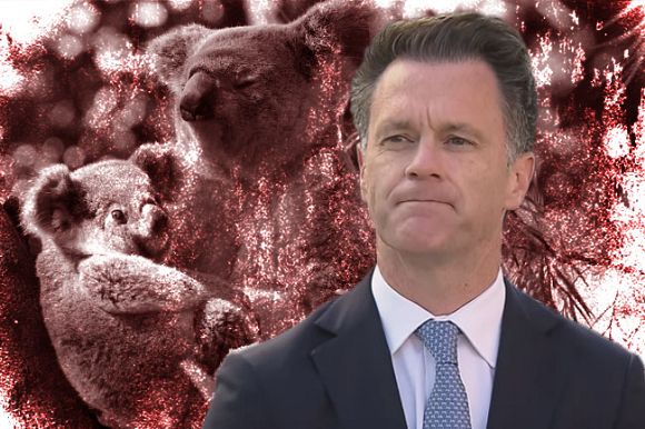 Australia’s war on nature leading to environmental collapse