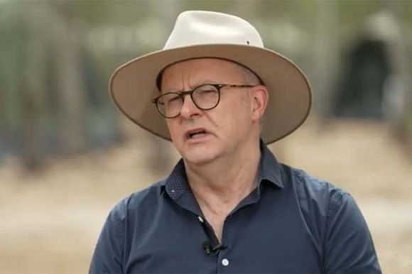 Royal commission now: The case against Albanese’s environmental record