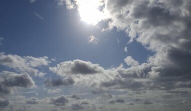 Swansea Beach is looking celestial this morning