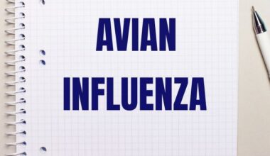 South Korea strengthens preventative avian flu control measures