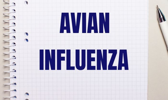 South Korea strengthens preventative avian flu control measures