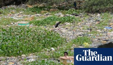 World in $1.5tn ‘plastics crisis’ hitting health from infancy to old age, report warns | Plastics