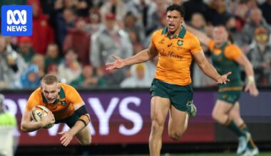 Australian rugby looks for pride and soul in the mud and the rain of a Lions dead rubber
