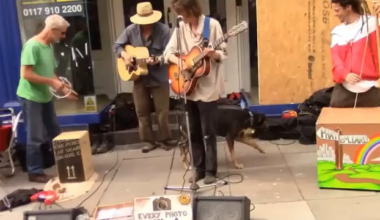 The ladies singing "It ain't gonna go away" has blown up around Reddit today and it reminded me of Phat Bollard's song Millionaires from 10 years ago.