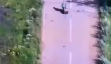 Elderly woman was walking home and got shot by russians, then they kills her with their FPV drone - Kupyansk Direction🤬