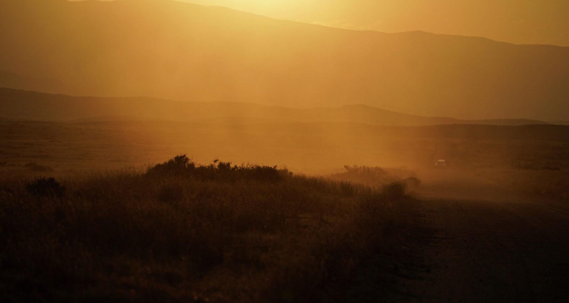 'They're not going to live normally': A devastating disease has surged in Calif. due to climate change