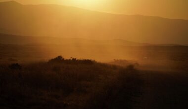 'They're not going to live normally': A devastating disease has surged in Calif. due to climate change