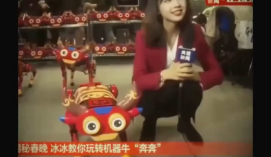 Ukrainian Soldiers in Kursk Still Couldn’t Understand Why the Robot Dog Has a ‘Cuteness Mode’