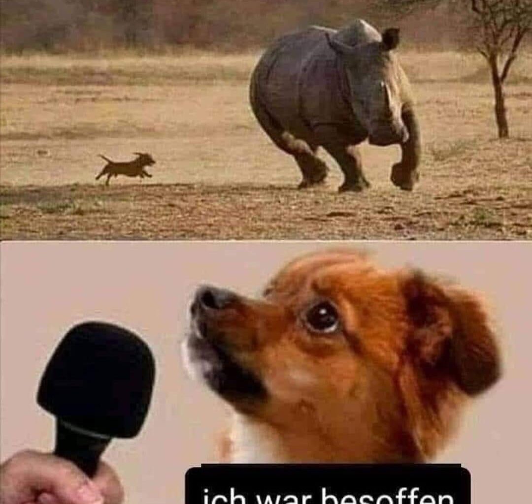 Immer diese Ausreden😂