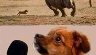 Immer diese Ausreden😂