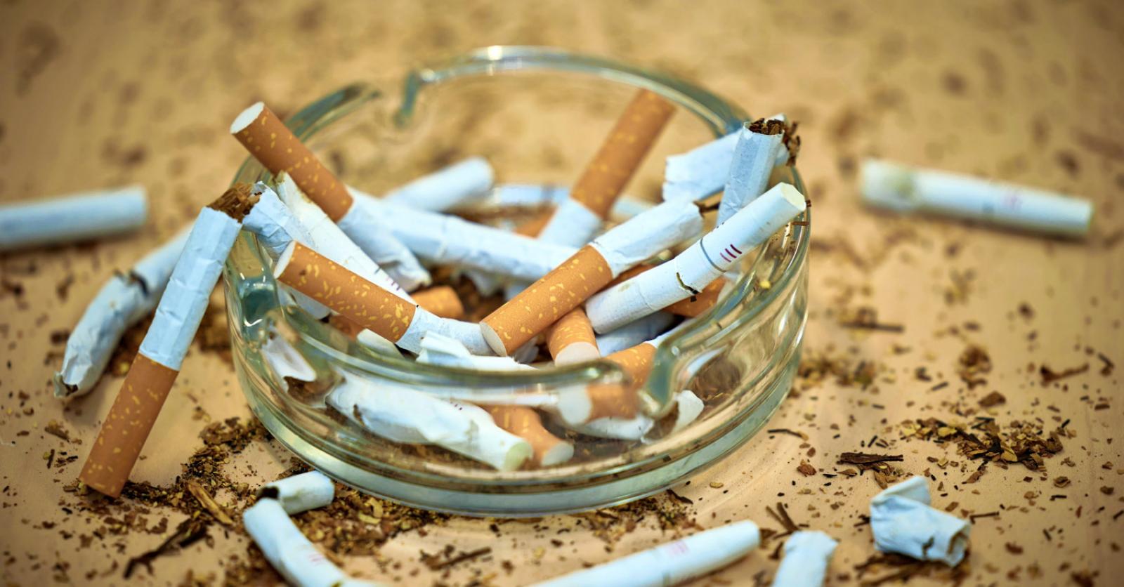 Un tiers des cigarettes en Belgique sont illégales