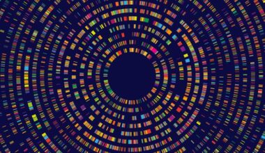 Bioinformatics Tool HTGAnalyzer Simplifies Data Analysis