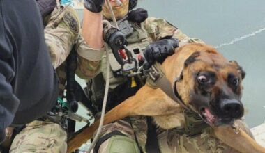Polish SPKP operator preparing for a helicopter descent with his not so keen service dog