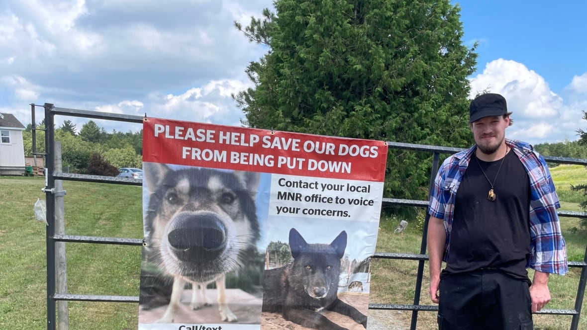 A man stands next to the farm gate at his property with a banner advocating to save his wolves.