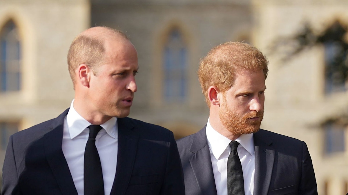 Controversial rule preventing Prince William and Prince Harry from inheriting Princess Diana's home