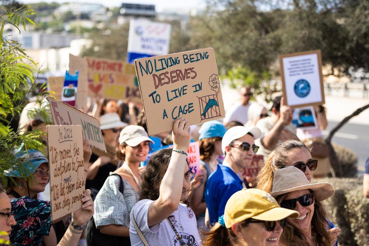 Some of the protesters outside the Mediterraneo Marine Park on Saturday. Photo: Earth Systems Association Some of the protesters outside the Mediterraneo Marine Park on Saturday. Photo: Earth Systems Association