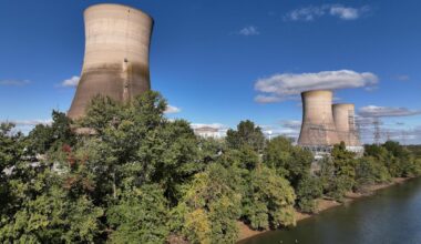The White House wants government stakes in more companies. The nuclear energy industry could be next.
