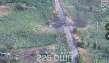 A Bradley IFV of the 225th Assault Regiment is clearing forest belts where the occupiers are hiding
