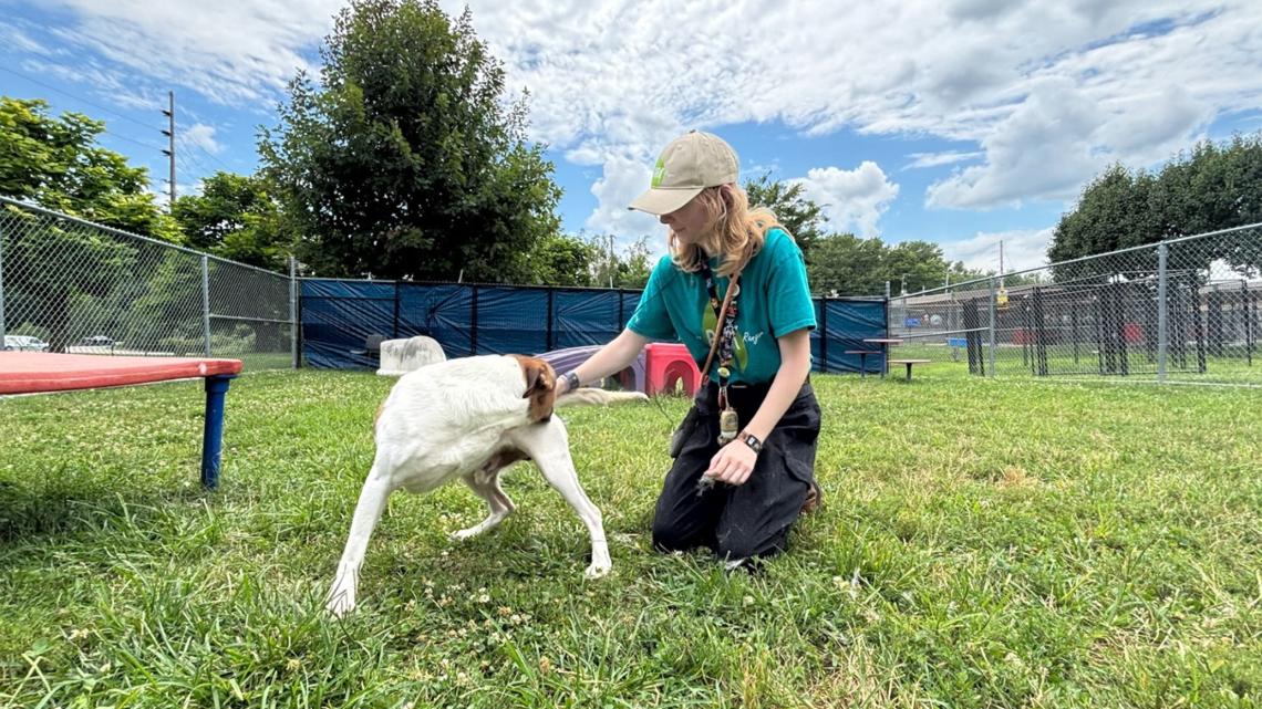Indy Parks Corps provides young adults training, job opportunities