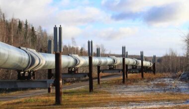 Crude Oil Falls on Bearish Weekly Inventory Report and IEA Oil Surplus Forecast
