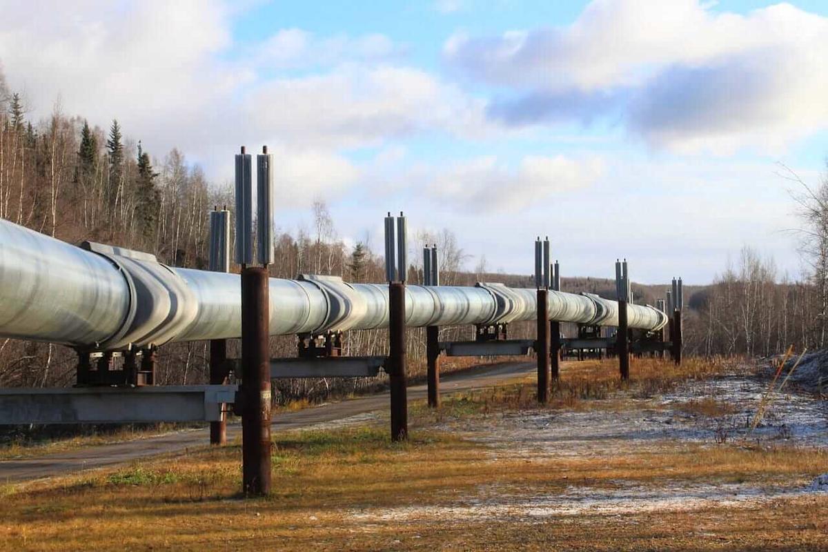 Crude Oil Falls on Bearish Weekly Inventory Report and IEA Oil Surplus Forecast