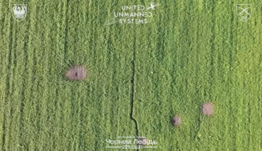 Multiple Russian soldiers crawling through a field are eliminated by drone-dropped grenades and FPV drones of Ukraine's 225th Assault Regiment near Kindrativka in Sumy region, late July 2025