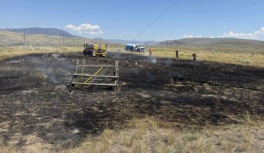 A Fish Falls From the Sky and Sparks a Brush Fire in British Columbia - Officials say a flying osprey dropped its catch, which then struck power lines, causing sparks that ignited dry grass.