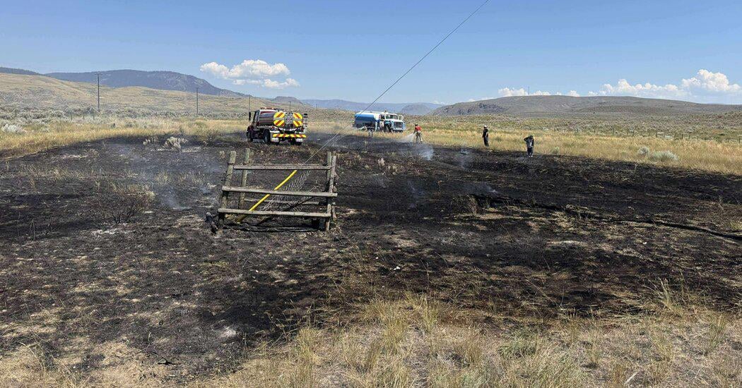 A Fish Falls From the Sky and Sparks a Brush Fire in British Columbia - Officials say a flying osprey dropped its catch, which then struck power lines, causing sparks that ignited dry grass.