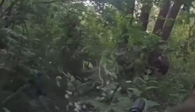 GoPro of Ukrainian soldier ambush Russian soldier in the forests in the Kreminna direction, Luhansk Oblast [enemy visible]