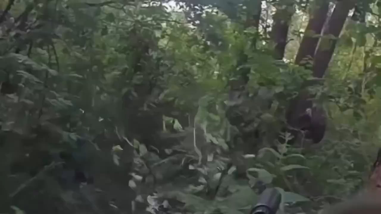 GoPro of Ukrainian soldier ambush Russian soldier in the forests in the Kreminna direction, Luhansk Oblast [enemy visible]