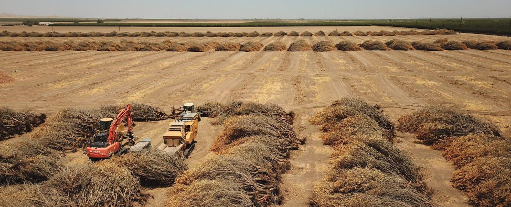 Earth's Continents Are Drying Out at an Unprecedented Rate, Study Warns : ScienceAlert